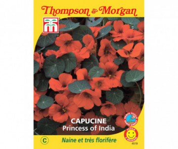 CAPUCINE PRINCESSE OF INDIA