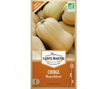 COURGE MUSQUEE BUTTERNUT AB BIO FERME DE SAINTE MARTHE