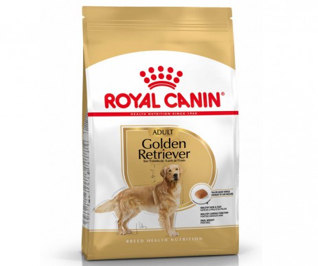 CROQUETTES GOLDEN ADULT 12KG ROYAL CANIN