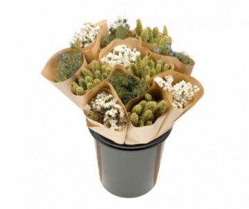 BOTTE FLEURS SECHEES VERTES ET BLANCHES