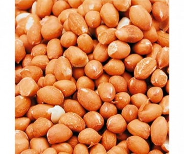 CACAHUETES DECORTIQUEES 5KG