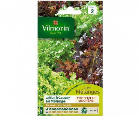 SALADE BOWL EN MELANGE VILMORIN