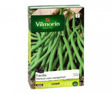 HARICOT NAIN MANGETOUT FACILA VILMORIN