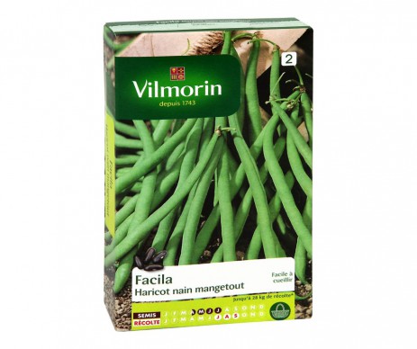 HARICOT NAIN MANGETOUT FACILA VILMORIN