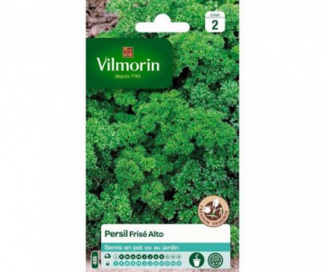PERSIL FRISE ALTO VILMORIN