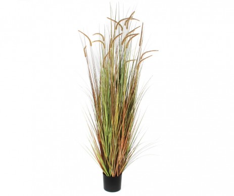 POT HERBE PANACHE H180 VERT