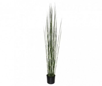 BAMBOU /POT VERT -H150XD17CM