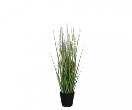 GRAS /POT  VERT - H53XD10CM