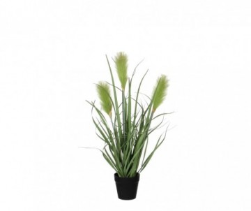 ROSEAU VERT /POT H53CM