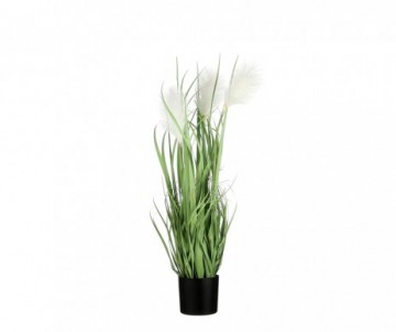 FOXTAIL POT PLAST BLC H81CM