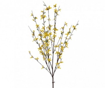 FORSYTHIA JAUNE 102X40