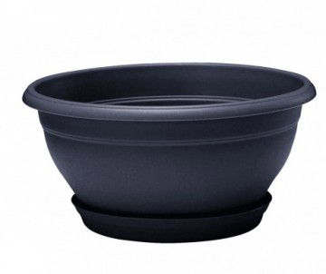 COUPE LOTUS RONDE DIAMETRE 25CM VIOLINE