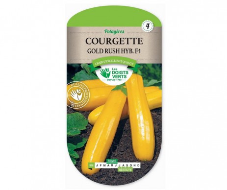 COURGETTE GOLD RUSCH HYBRIDE F1