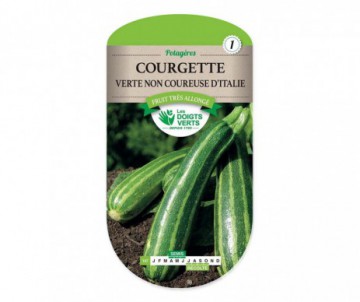 COURGETTE VERTE NON COUREUSE D'ITALIE
