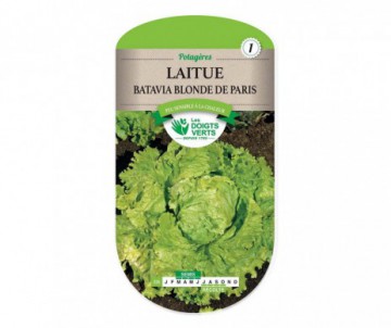 LAITUE BATAVIA BLONDE DE PARIS