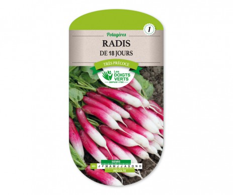 RADIS DE 18 JOURS