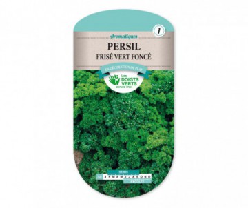 BASILIC GRAND VERT