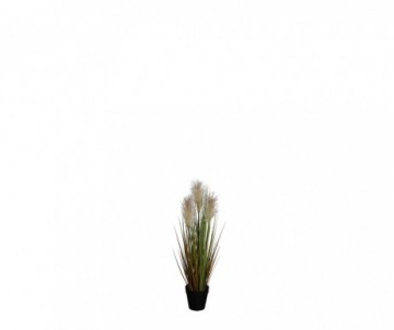 FOXTAIL POT CREME H53XD20CM