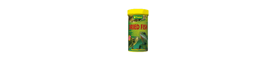 LES REPTILES