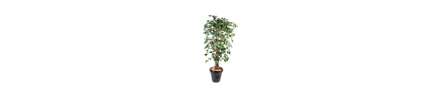 LES PLANTES ET FLEURS ARTIFICIELLES