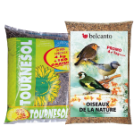 LES OISEAUX