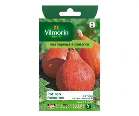 POTIRON POTIMARRON VILMORIN
