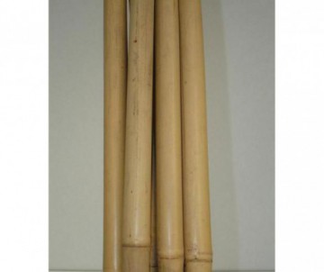 TUTEUR BAMBOU DIAMETRE 8-10MM HAUTEUR 120CMX5
