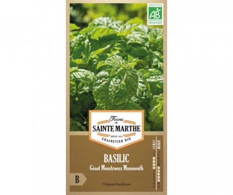 BASILIC GEANT MONSTRUEUX MAMMOUTH AB BIO FERME DE SAINTE MARTHE