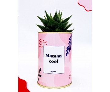 PLANTE VERTE AVEC MESSAGE