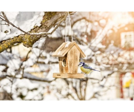 MANGEOIRE PR OISEAUX COTTAGE