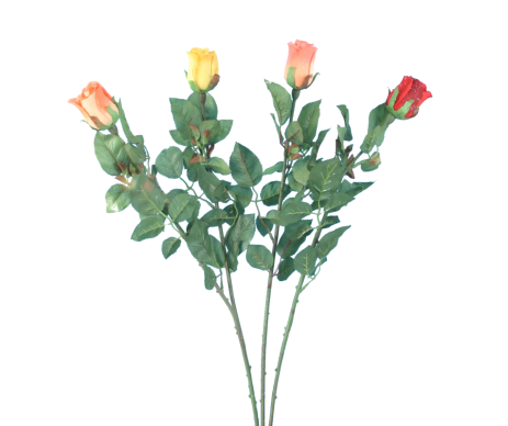 ROSE BOUTON COLORIS ASSORTIS