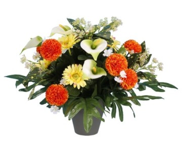 POT GERBERA ARUM POMP NIMES