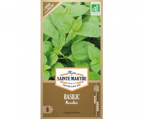 BASILIC MARSEILLAIS AB BIO FERME DE SAINTE MARTHE