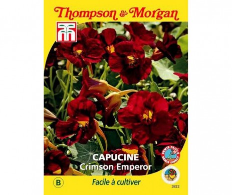 CAPUCINE MAJUS CRIMSON EMPEROR