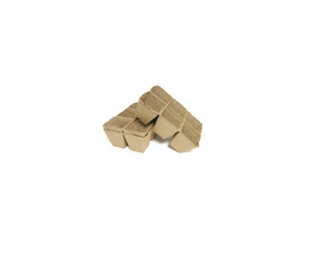 PLAQUE 6 POTS DIAMETRE 5CM X6 BIODEGRADABLE