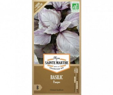 BASILIC POURPRE AB BIO FERME DE SAINTE MARTHE