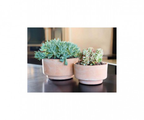 COUPE TERRE CUITE 16CM