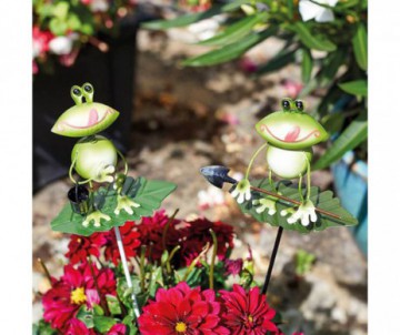 PIC GRENOUILLES 50X11CM