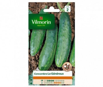 COURGETTE VERTE NOIRE MARAICHERE