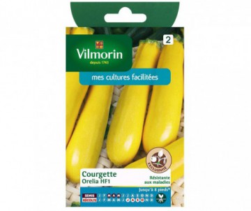 COURGETTE ORELIA HYBRIDE F1 VILMORIN