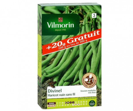 HARICOT DIVINEL +20G GRATUIT