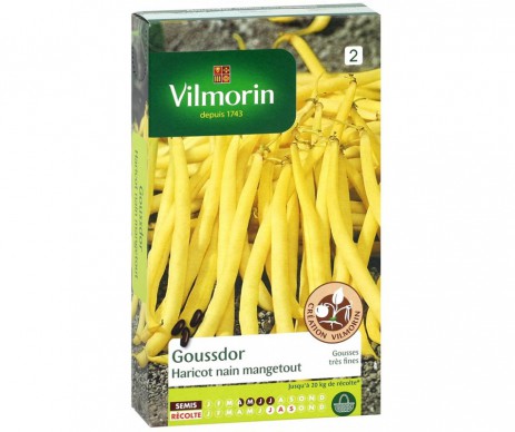 HARICOT GOUSSDOR VILMORIN