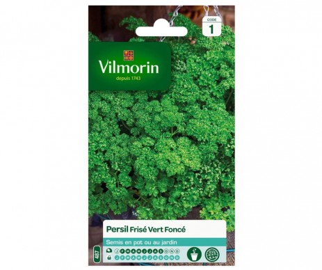 PERSIL FRISE VERT FONCE VILMORIN