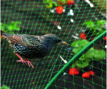 FILET PROTECTION OISEAUX 4MX6M