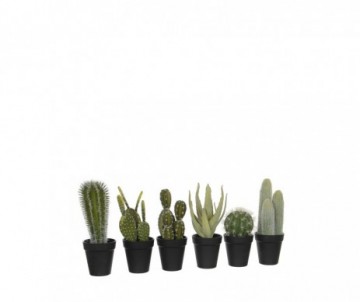 CACTUS VERT H28D12CM