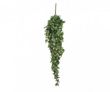SCINDAPSUS CHUTE VERT-L125XH25