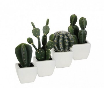 CACTUS /POT VERT 4ASS L7