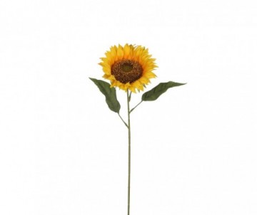 TOURNESOL 70CM