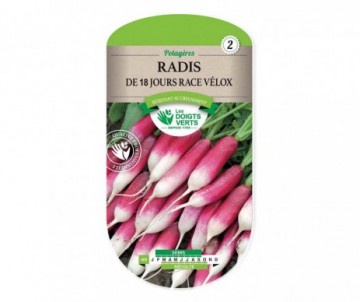 RADIS DE 18 JOURS RACE VELOX