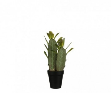 CACTUS VERT POT H32XD9